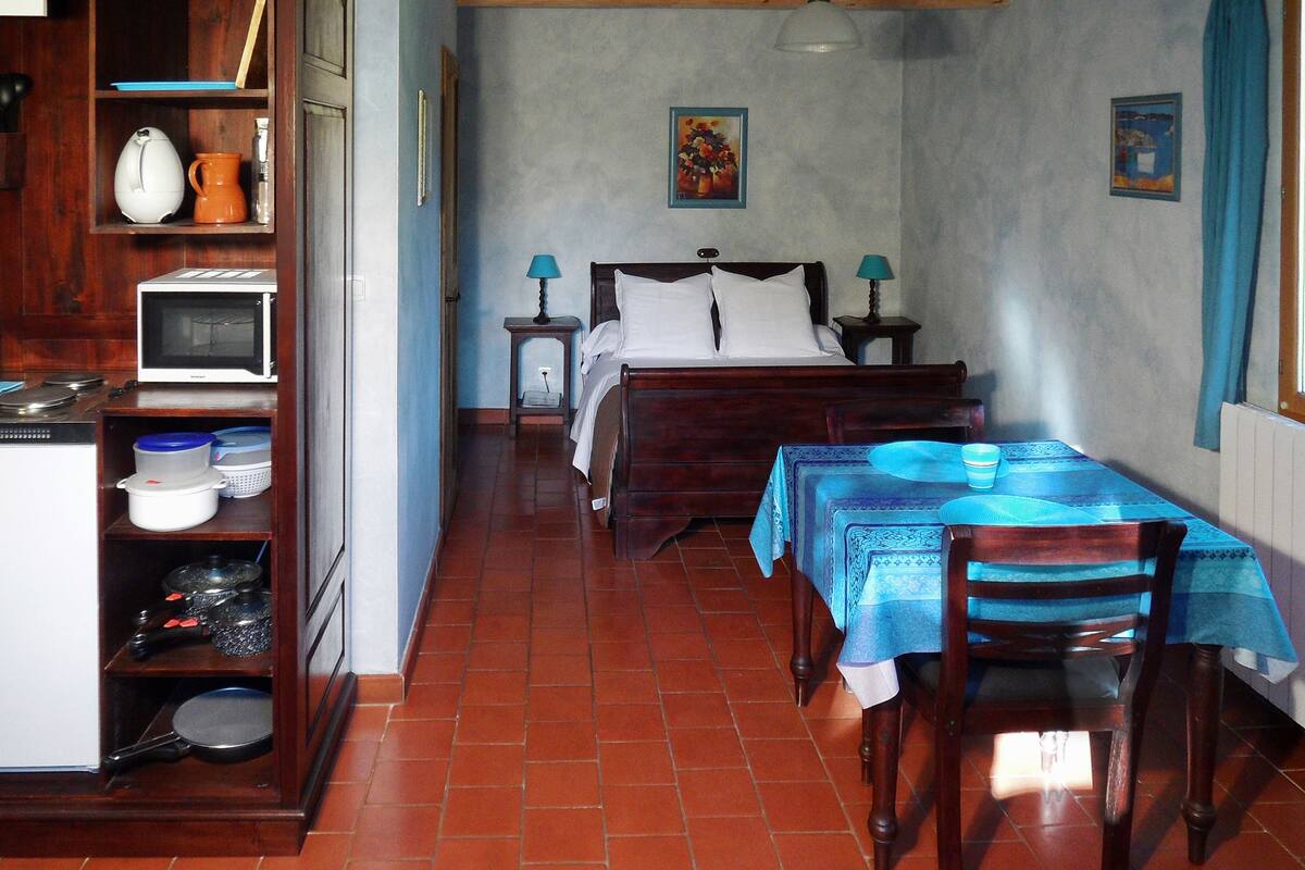 Estudio, 1 cama matrimonial y sofá cama, cocineta, vista al jardín | Decoración personalizada, muebles diferentes y escritorio