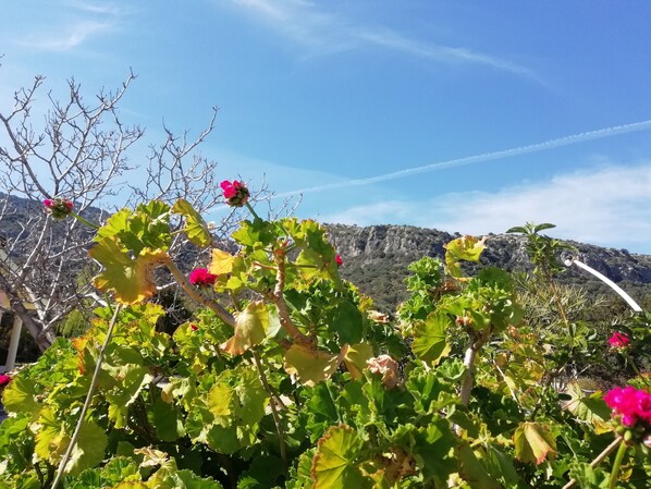 A garden with green foliage and pink flowers, with a mountainous backdrop and a clear sky. - Hotel VelaSole (Siniscola)