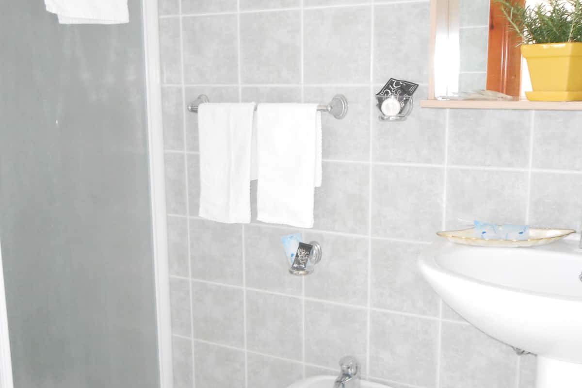 shower, rainfall showerhead, free toiletries, hair dryer