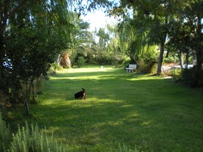 Jardim