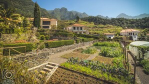 Zona residencial con casas, un jardín y montañas al fondo.