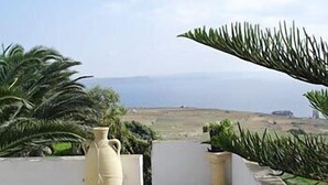 A terrace with a view of the sea, a large vase, and a small dog. - Villa Veduta (Ghajnsielem)
