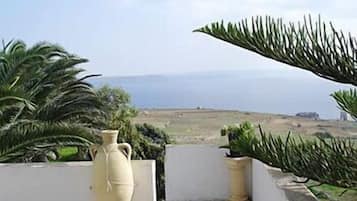 Standard Apartment | Balcony