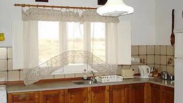 Standard Apartment | Private kitchen