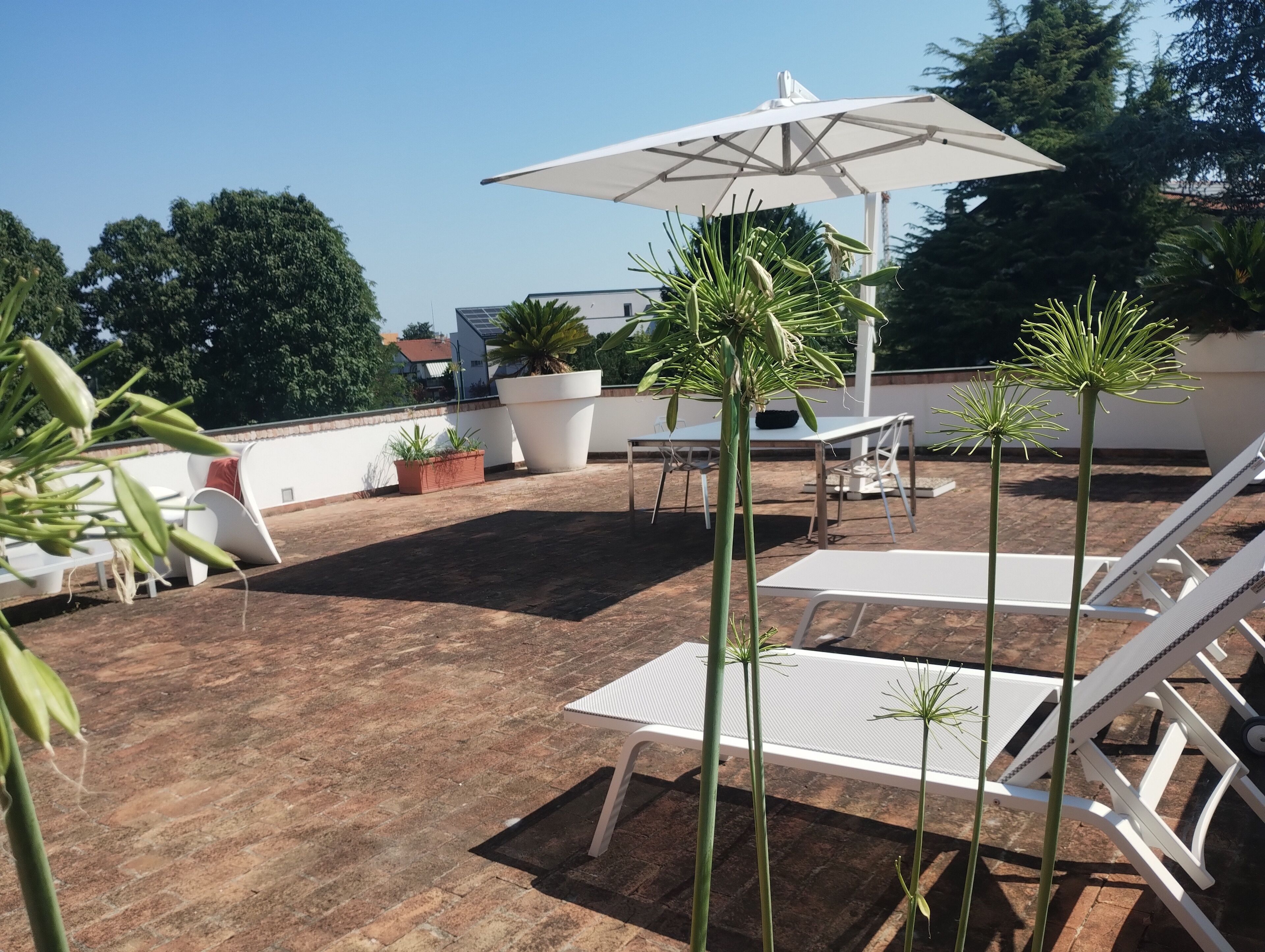 Un patio en la azotea con sillones blancos, una mesa y plantas en macetas.
