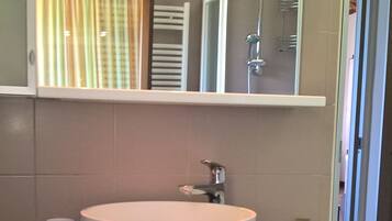 A bathroom with a large white sink, a mirror above it, and a shower visible through the glass door.