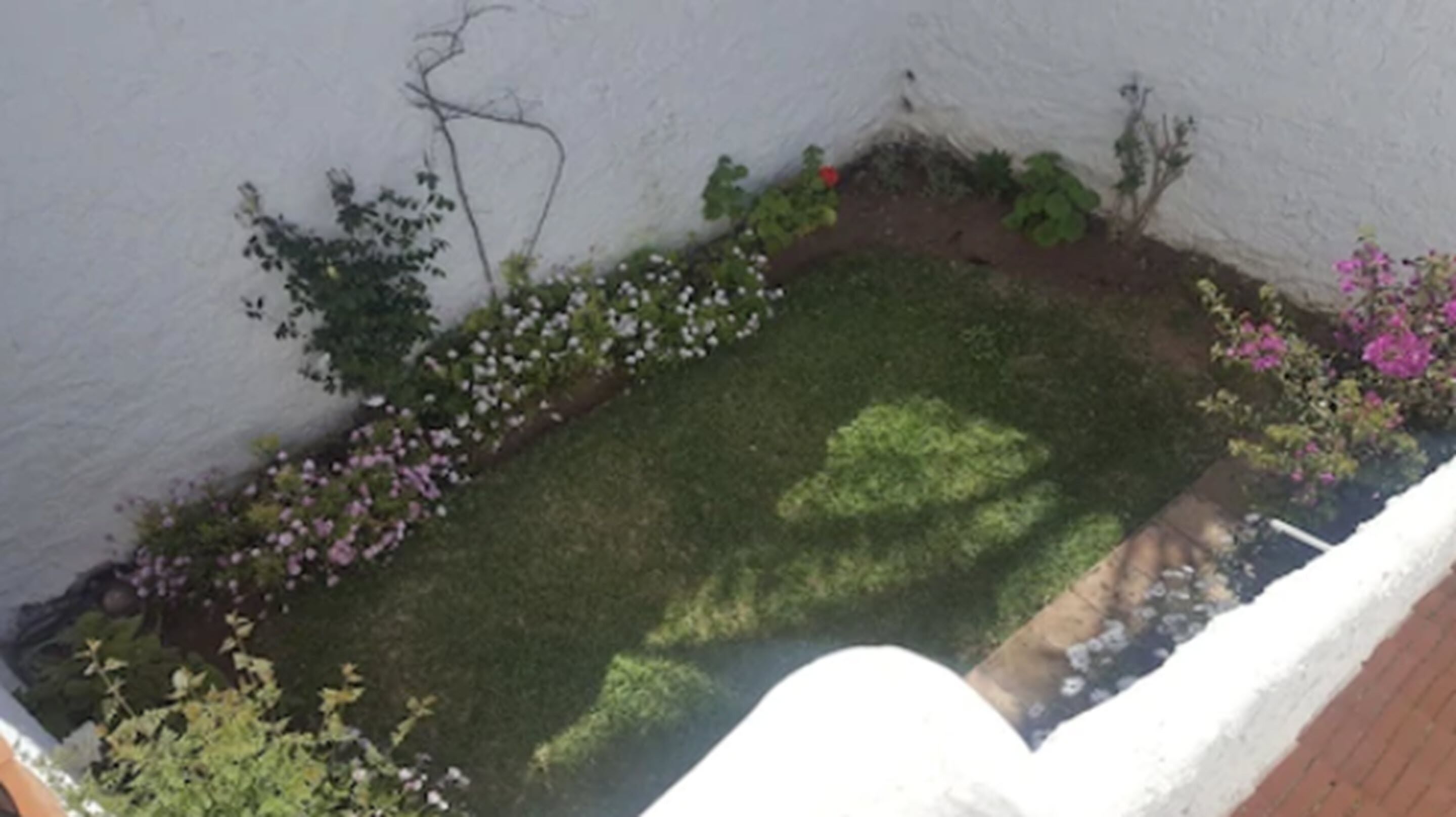 A small garden area with various plants and flowers, a white wall, and a wooden deck.
