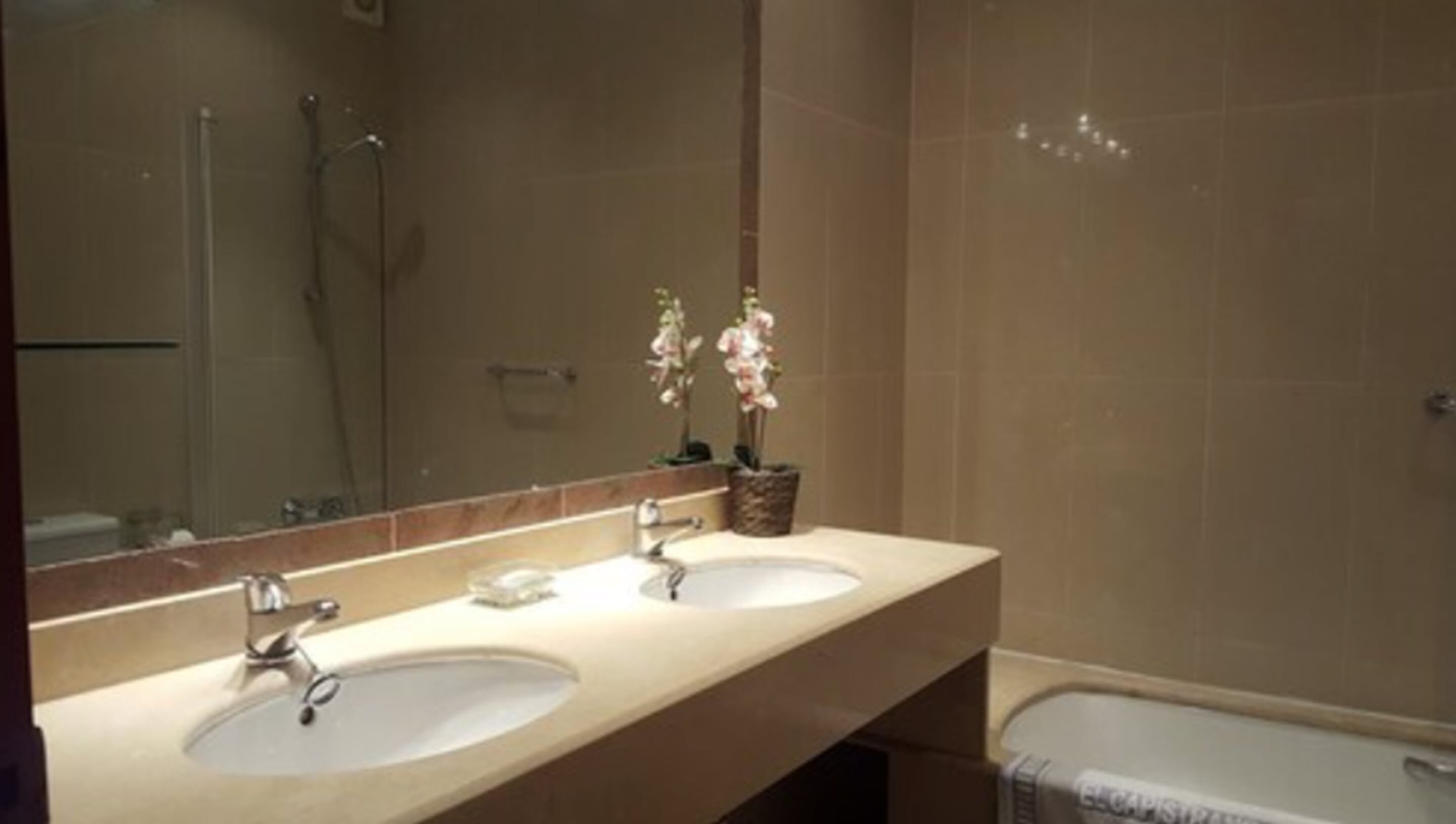 Un baño con dos lavamanos, un espejo y una ducha.