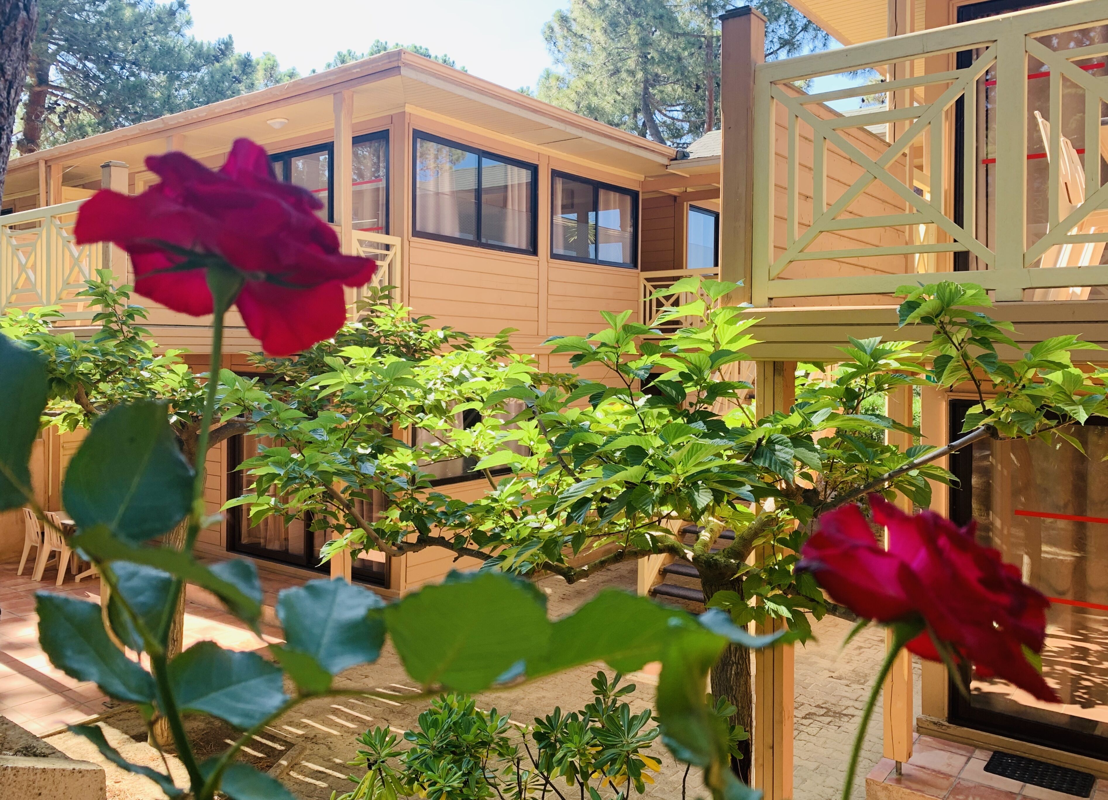Una casa de madera con ventanas grandes y un porche cubierto.