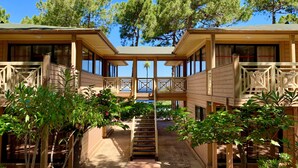 A wooden cabin with a central staircase leading to a balcony, surrounded by lush greenery. - Résidence Les Pins (Calvi)