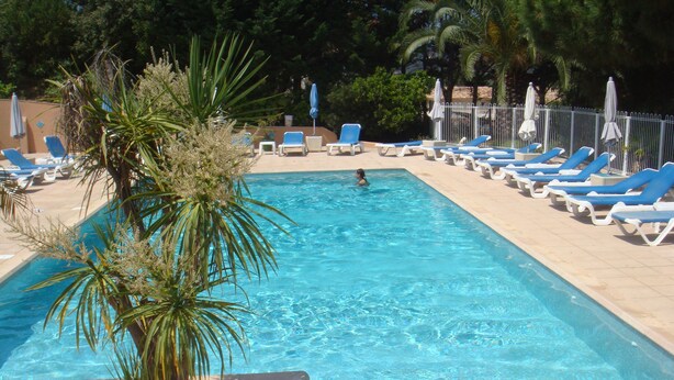 A rectangular swimming pool with clear blue water, surrounded by lounge chairs and umbrellas, and palm trees. - Résidence Les Pins (Calvi)