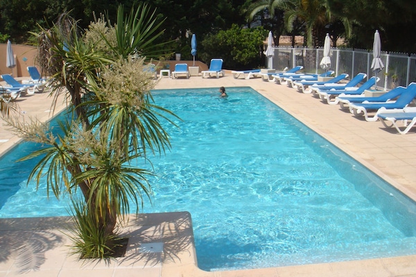 Outdoor pool, pool umbrellas, sun loungers