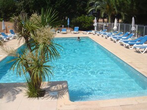 Una piscina rectangular amb aigua blava cristal·lina, envoltada de gandules i para-sols, i palmeres.