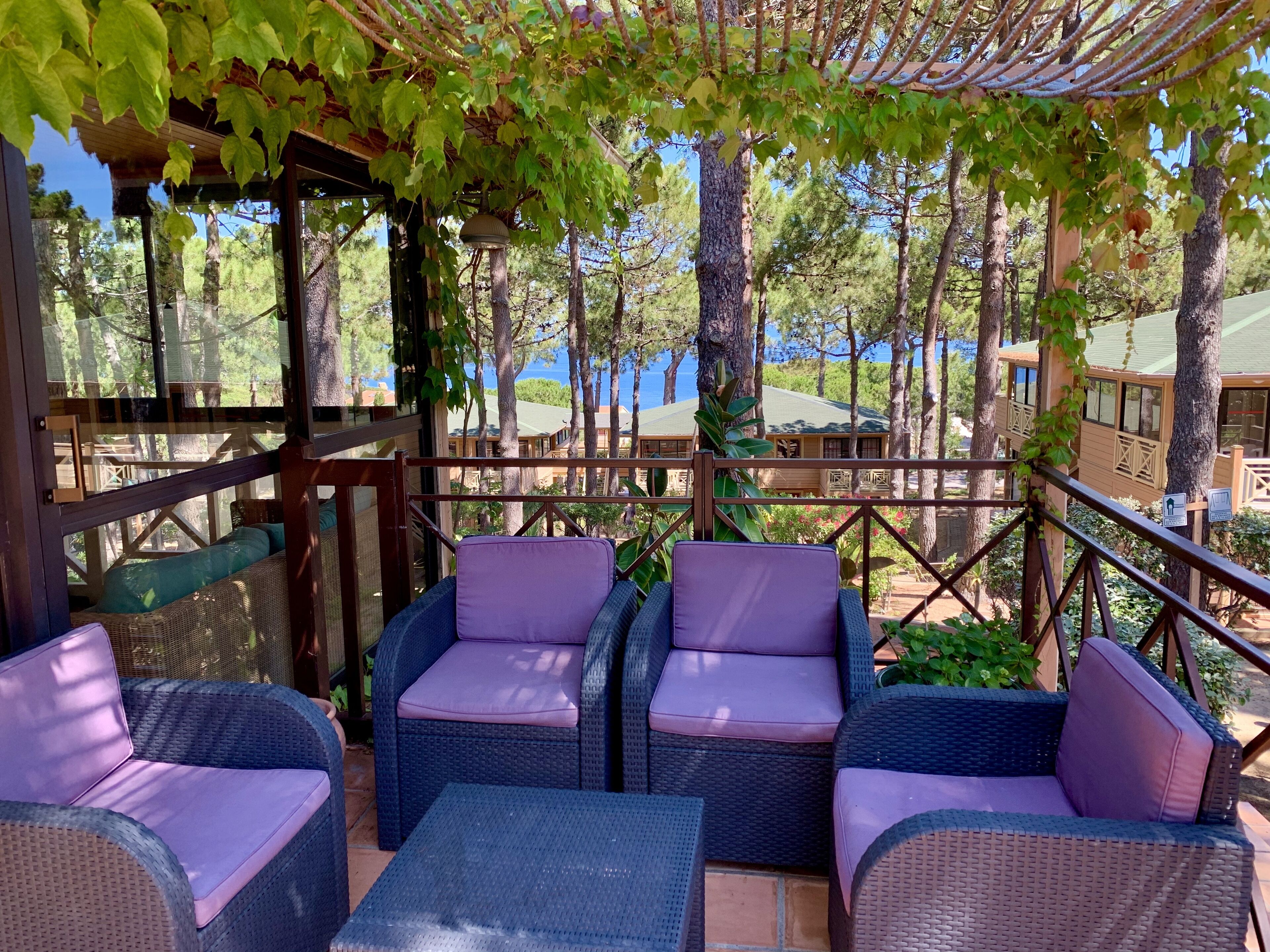 A covered outdoor seating area with wicker furniture and cushions, surrounded by trees and a view of buildings in the background.