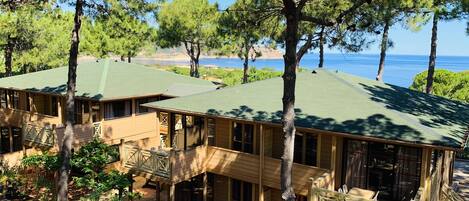 A wooden cabin with a green roof, surrounded by trees and overlooking a body of water.