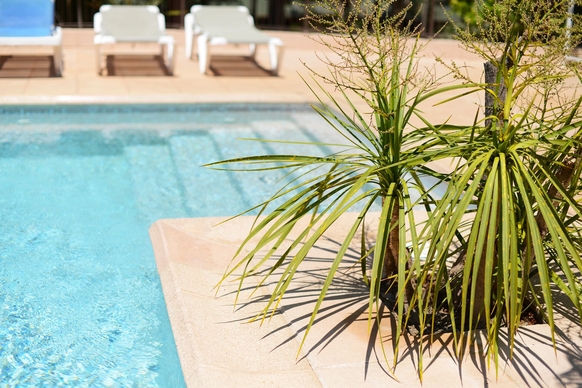 Foto - Résidence Les Pins