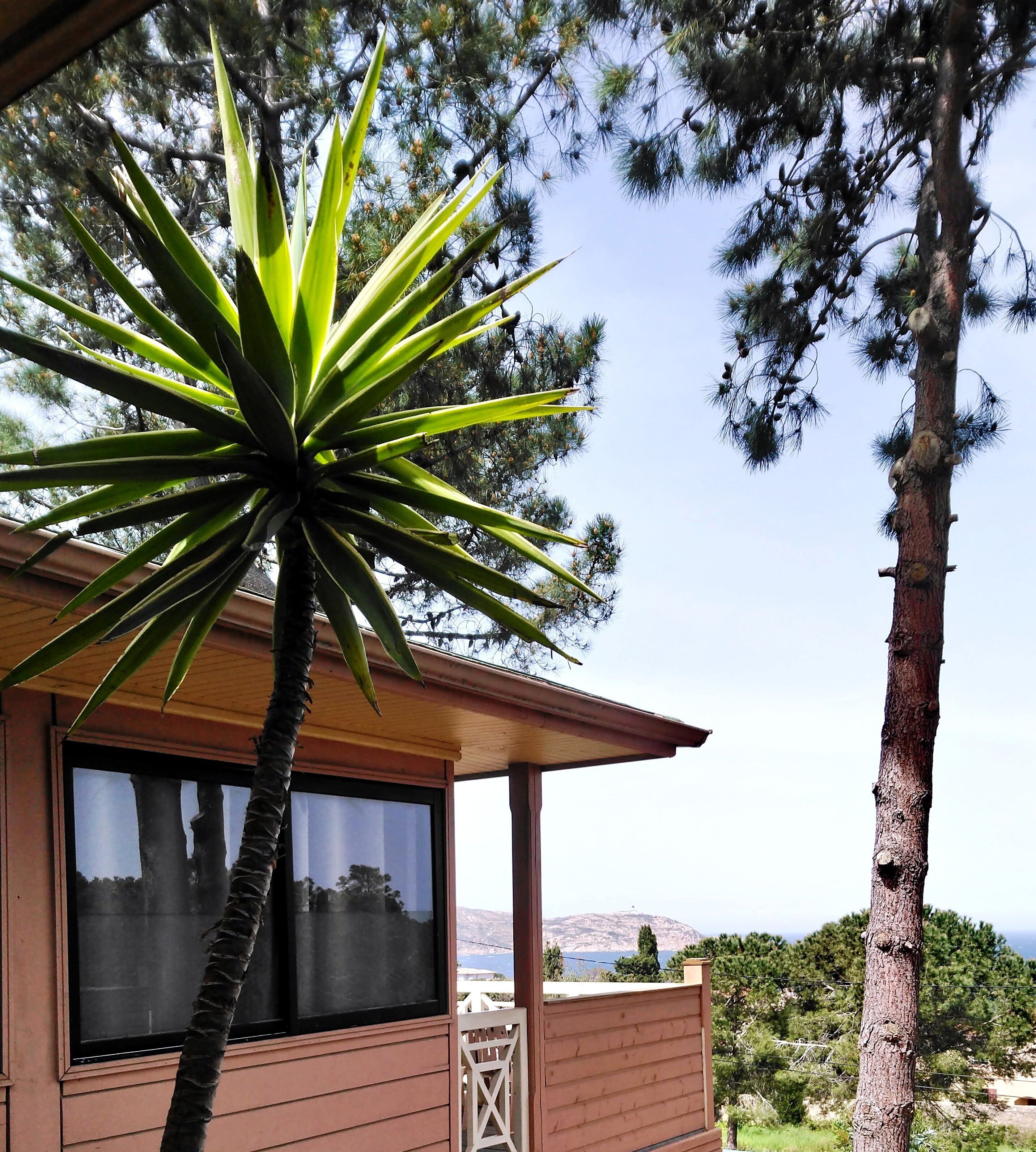 Foto - Résidence Les Pins