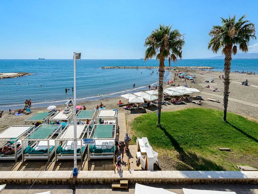 A beach with sun loungers, umbrellas, and palm trees.