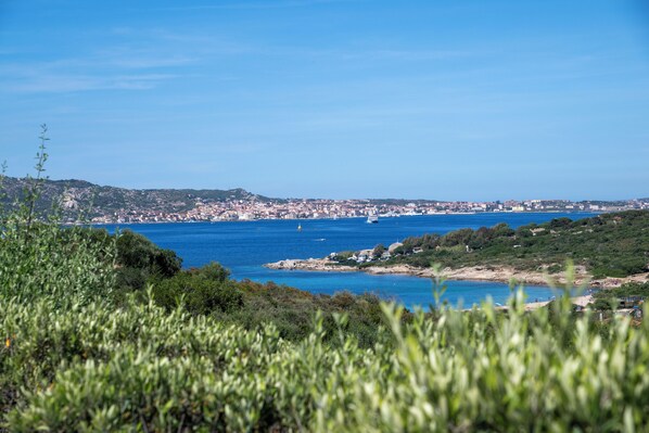 City view from property