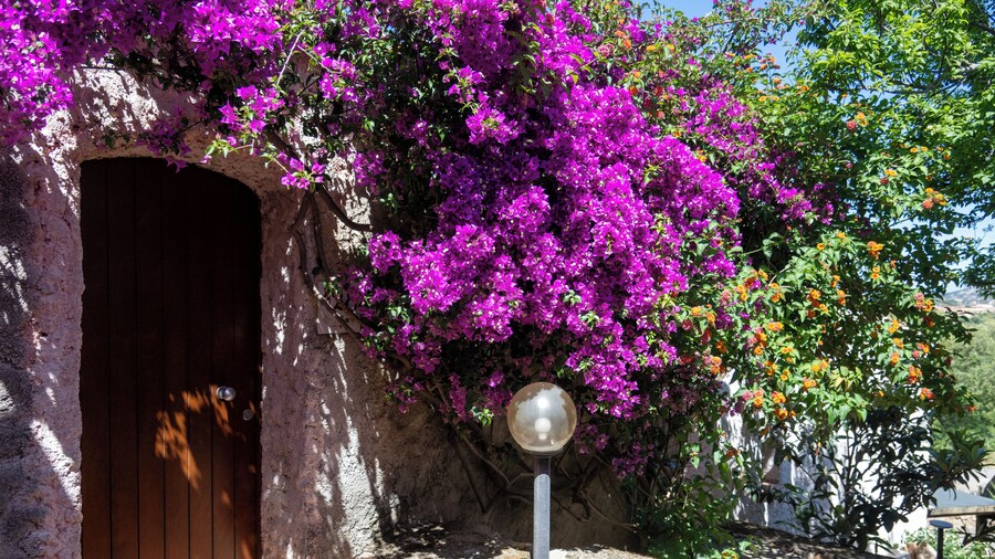 AHR Altura Hotel Porto Rafael