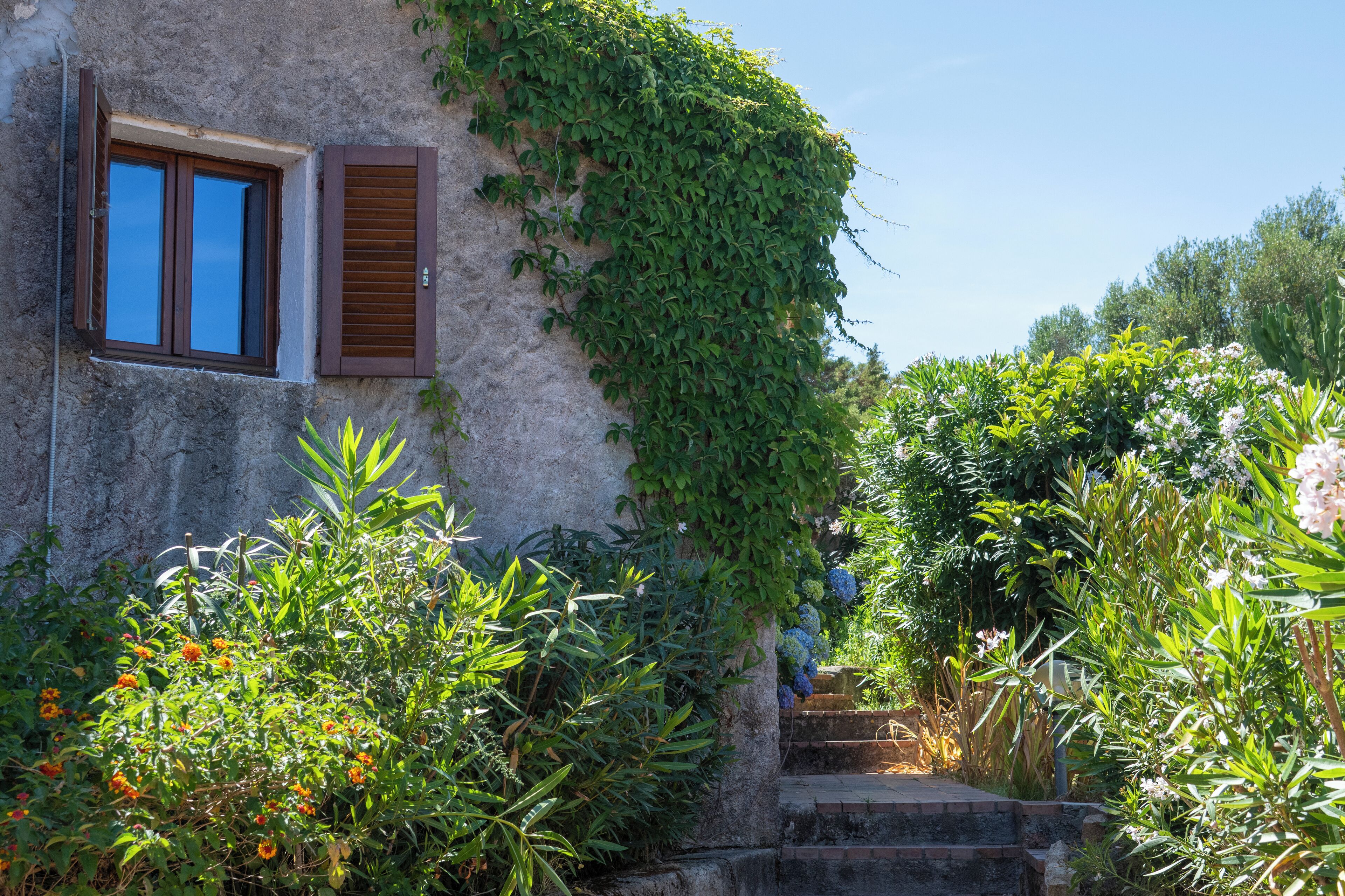 Foto - AHR Altura Hotel Porto Rafael