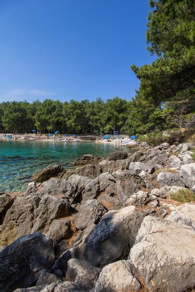 Family Resort Hotel Manora