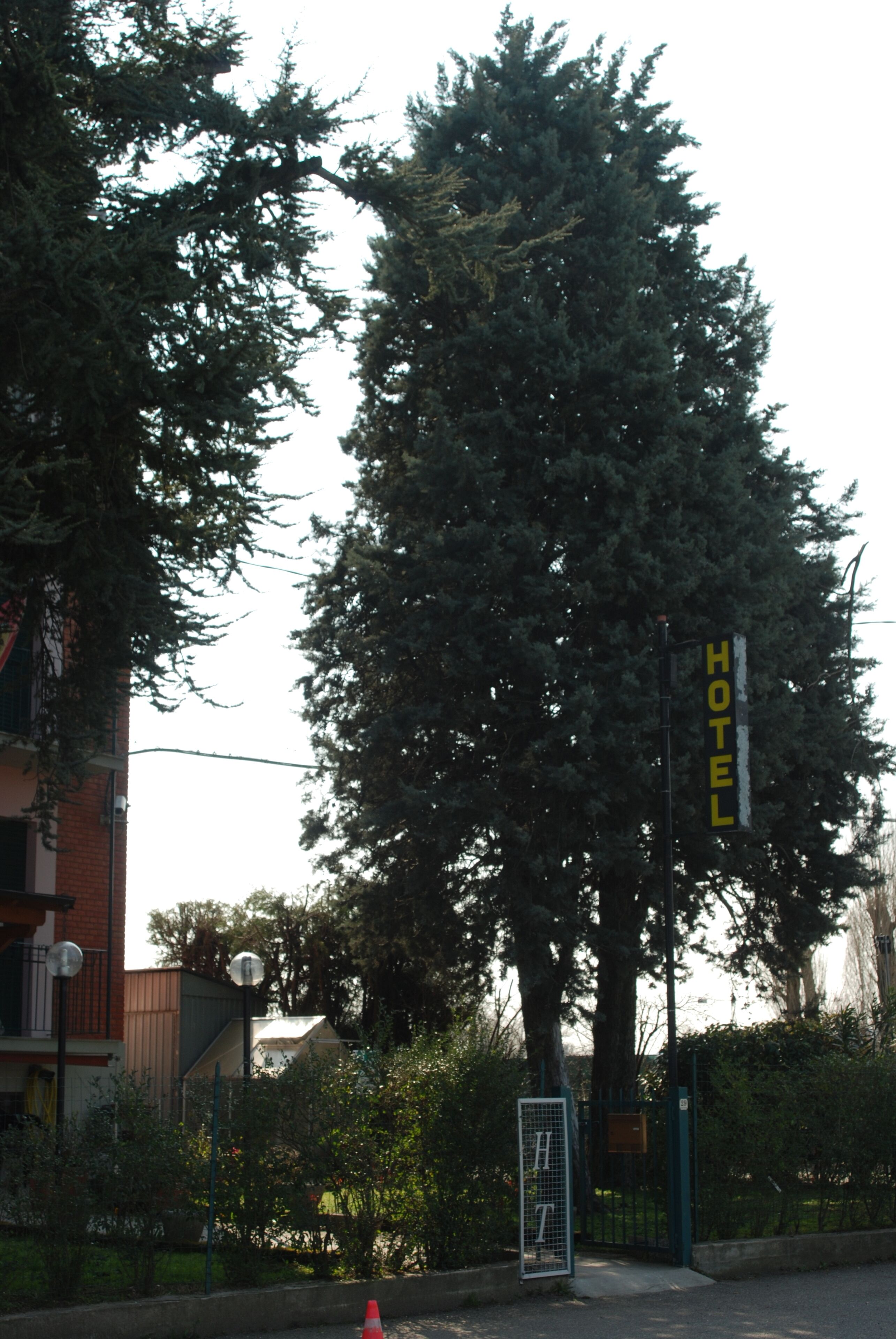 Foto - Hotel Tuscolano