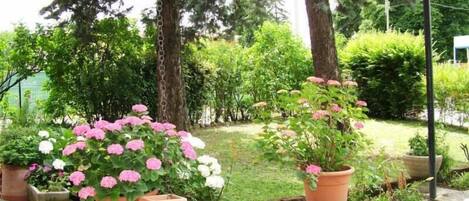 Overnatningsstedets område