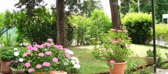 Hotel Tuscolano