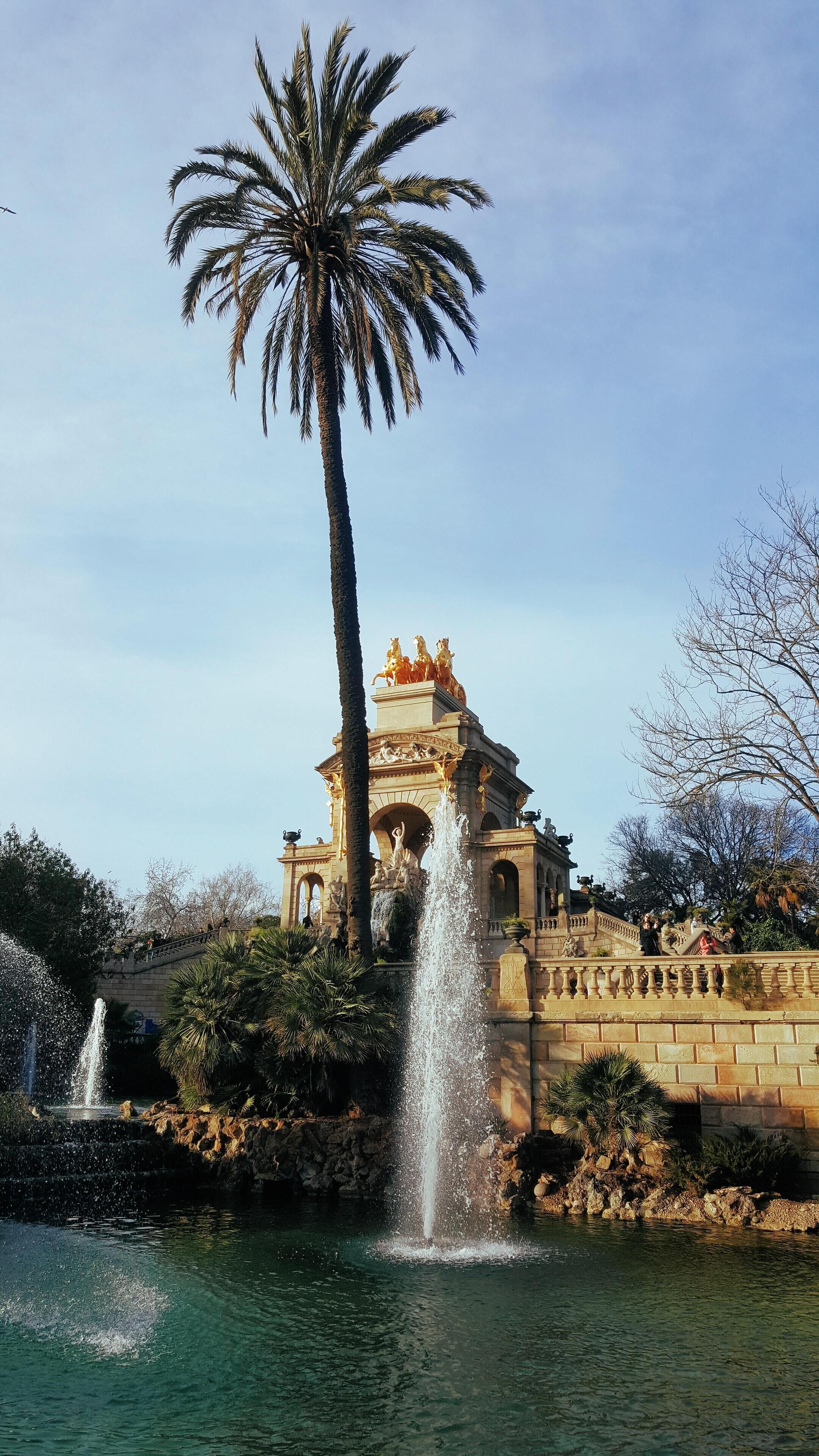 A fountain with water jets, a palm tree, and a building with statues and a fountain.