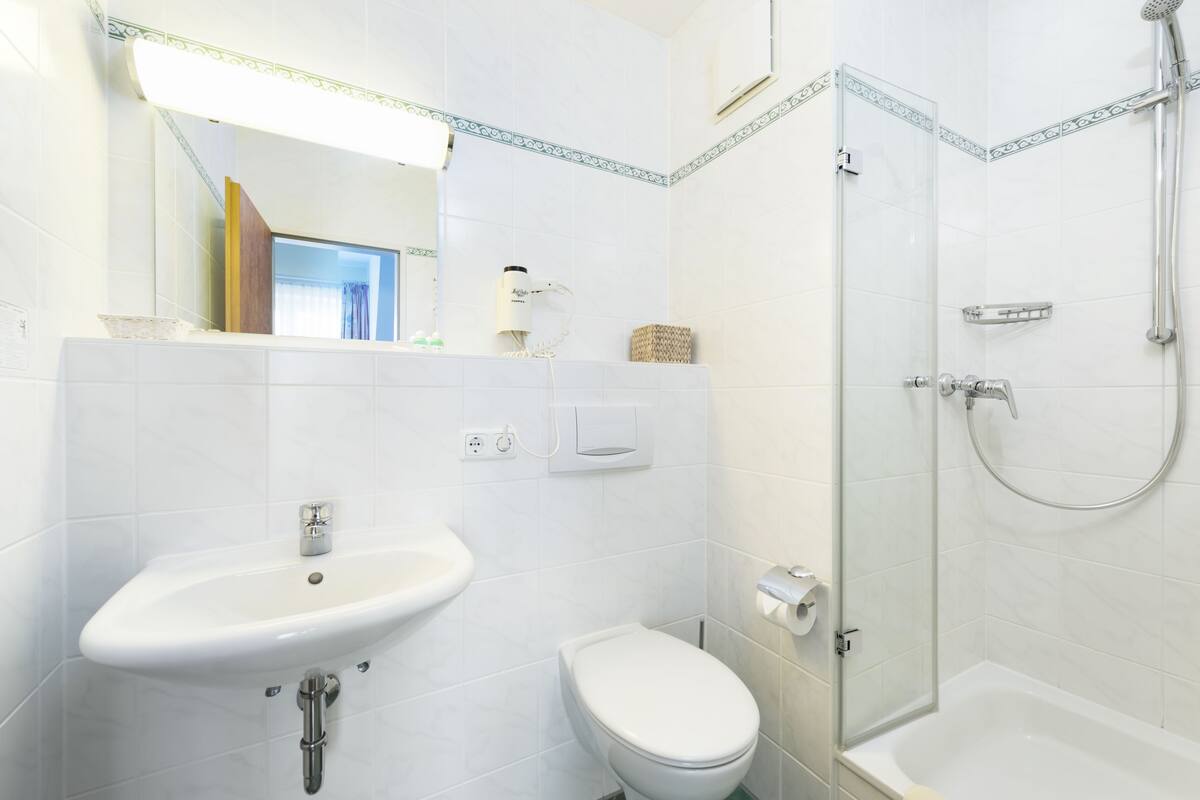 shower, free toiletries, hair dryer, towels