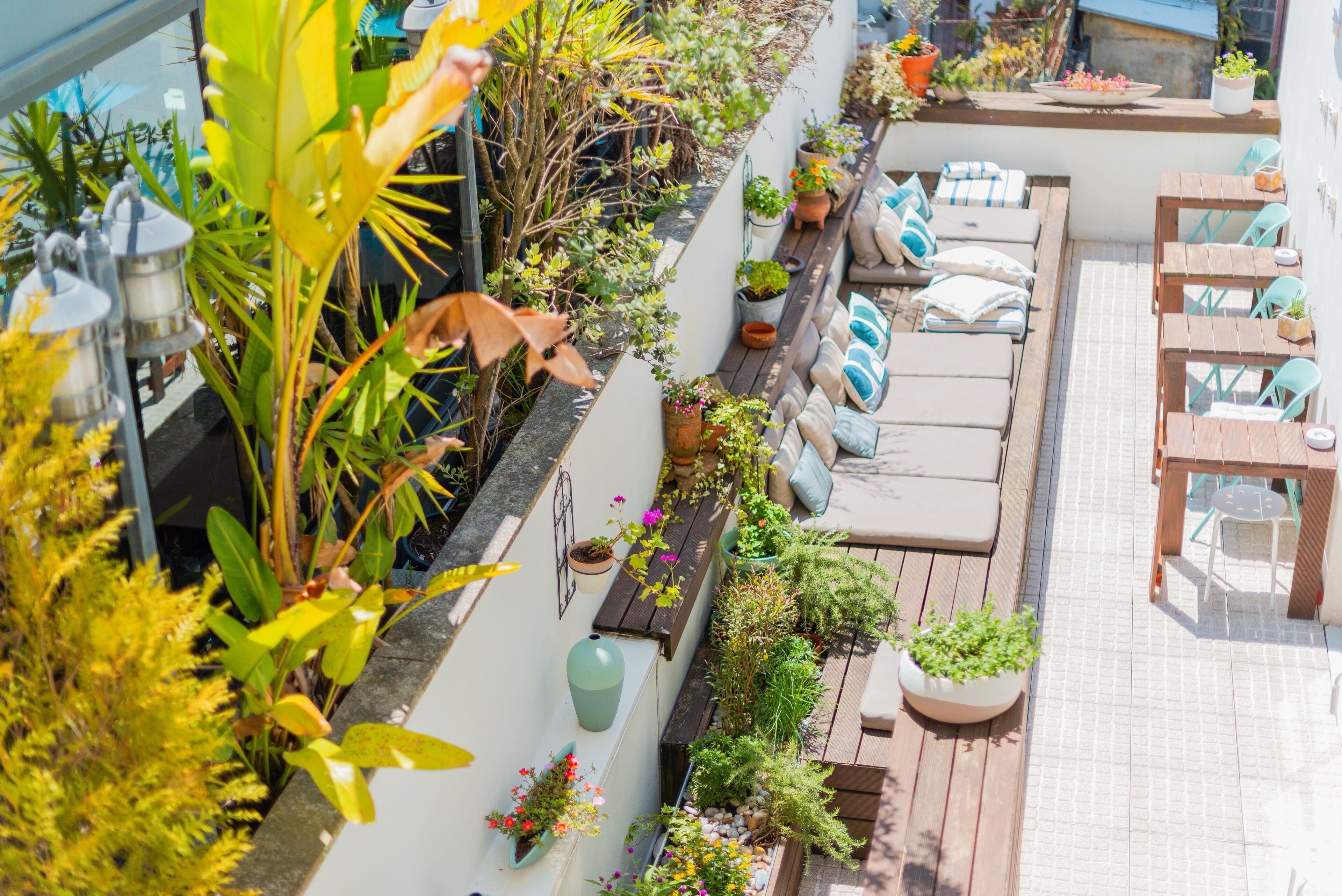 テラス / パティオ