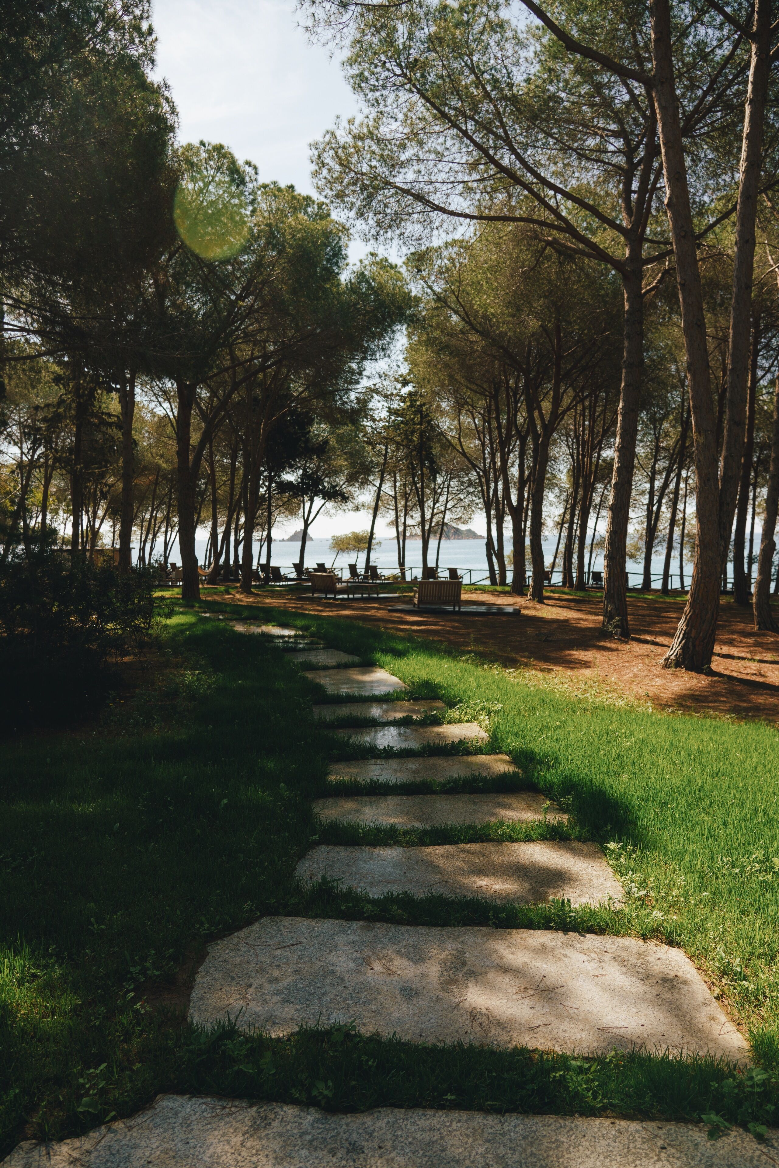 Un sentier de pierres qui traverse un parc arboré et offre une vue sur l’eau.
