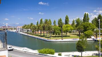 A riverside view with a bridge, palm trees, and a road.