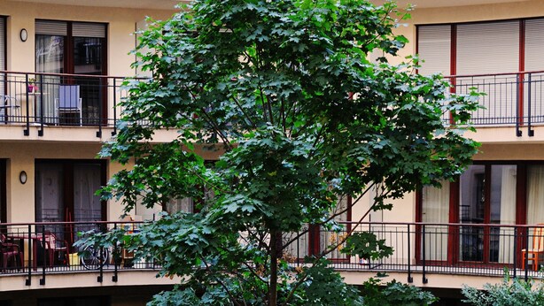 A courtyard with a central tree surrounded by a circular stone wall, multiple balconies with outdoor furniture, and a gated entrance. - Comfort Apartments (Budapest)