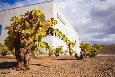 Hotel Del Vino