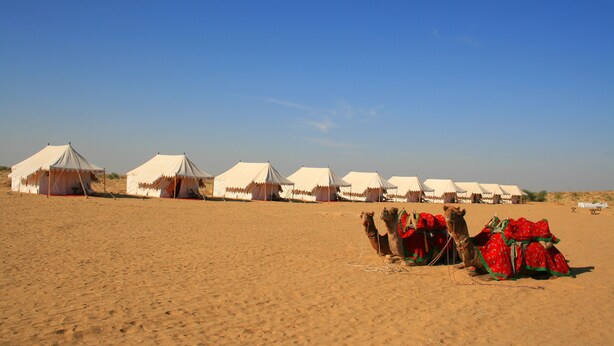 A desert landscape with several white tents and a camel with red saddles. - Ratnawali (Jodhpur)