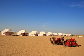 A desert landscape with several white tents and a camel with red saddles. - Ratnawali (Jodhpur)