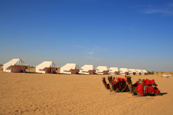 Terrein van de accommodatie