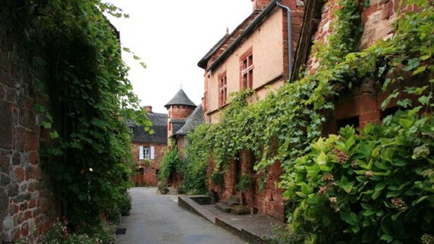 Une ruelle étroite bordée de bâtiments aux murs de briques et recouverts de lierre.