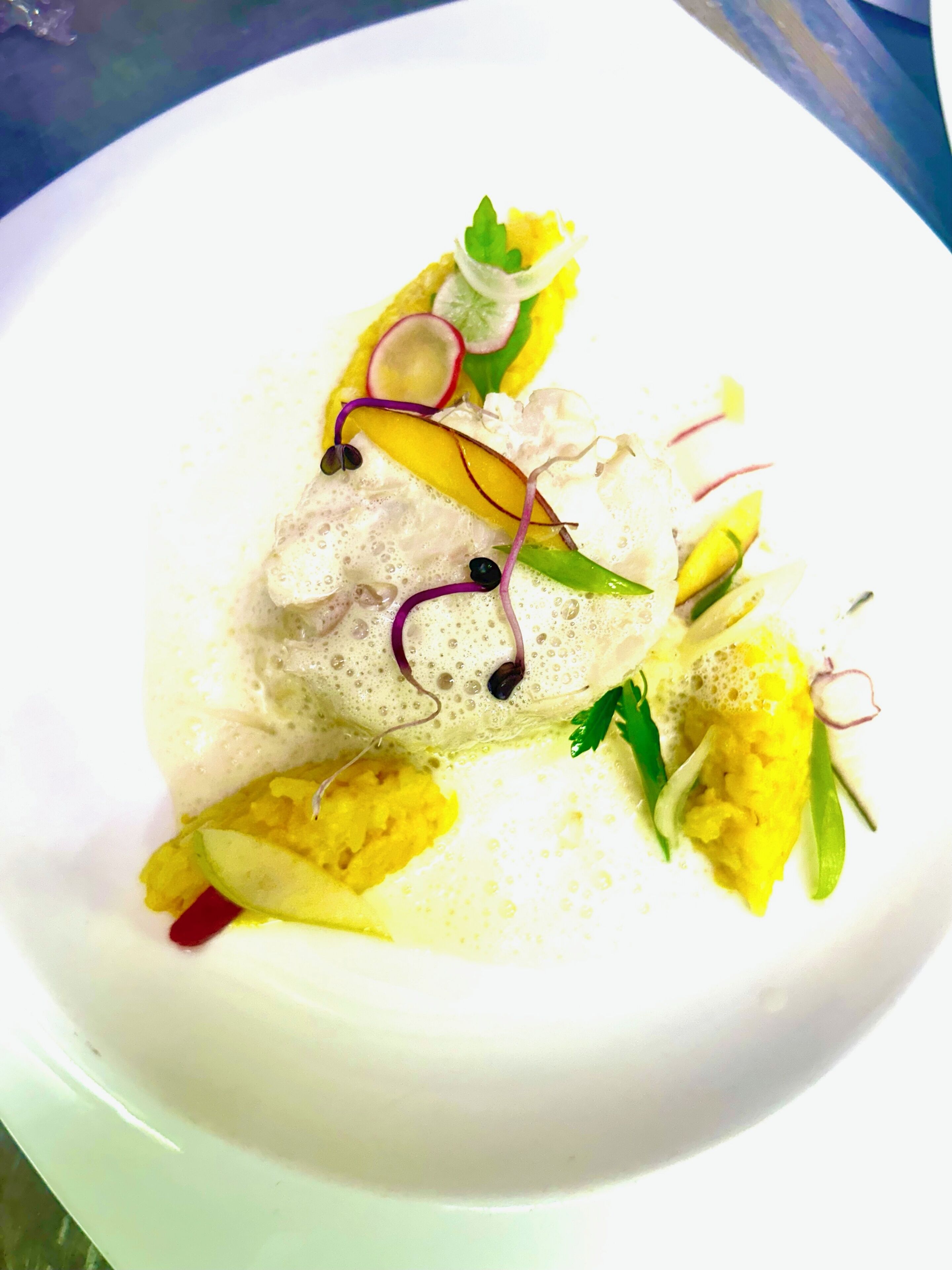 A white plate with a fish fillet, garnishes, and a creamy sauce.
