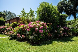 Exterior - Hotel Franceschi (Forte dei Marmi)