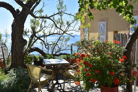 花园. 尤派特利亚库酒店