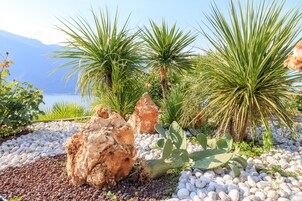 Jardín