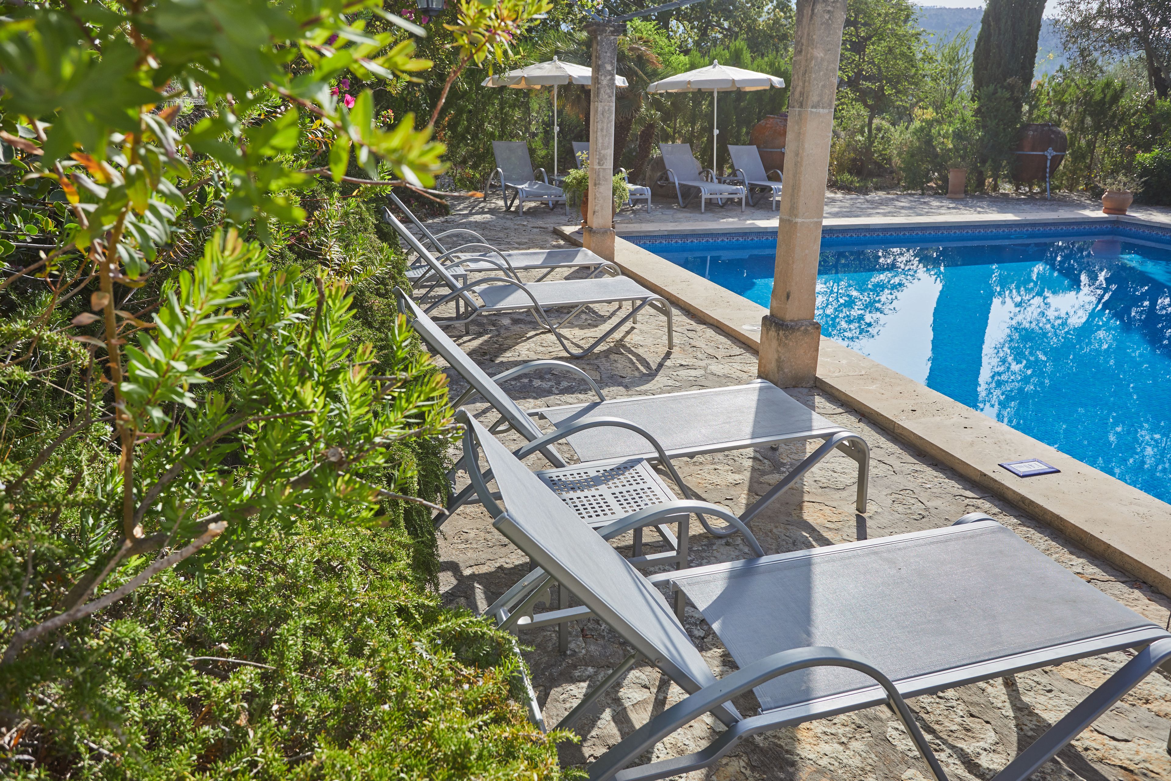 A poolside area with lounge chairs and umbrellas, surrounded by greenery.
