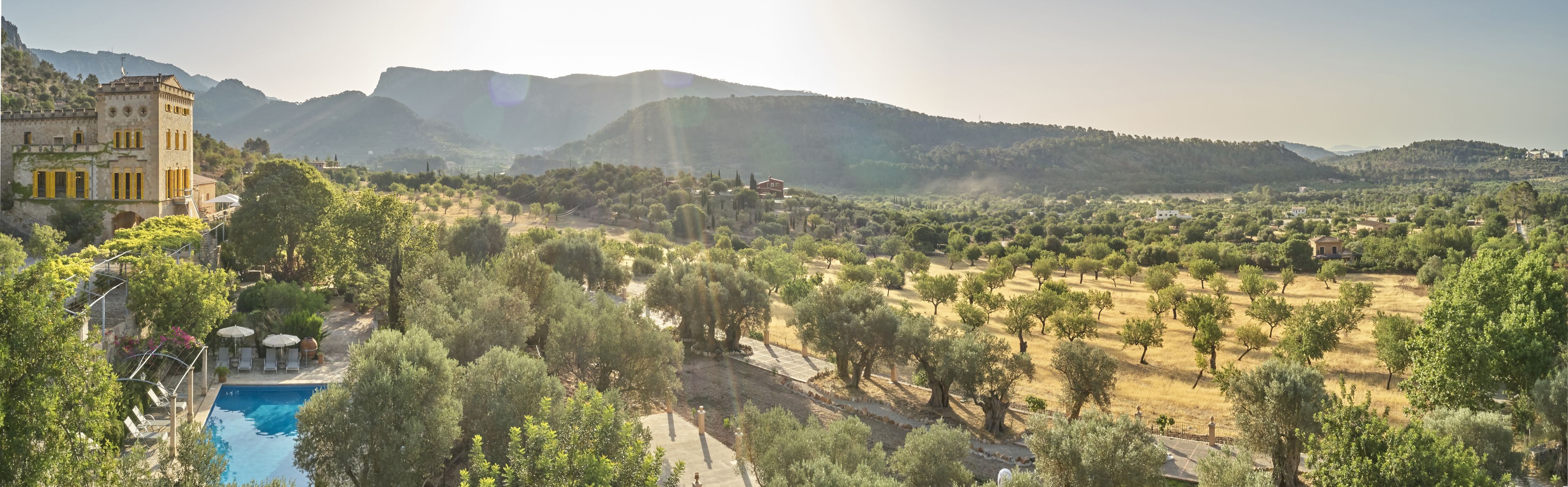 Une villa avec piscine, entourée d’oliviers et dominant un paysage montagneux.
