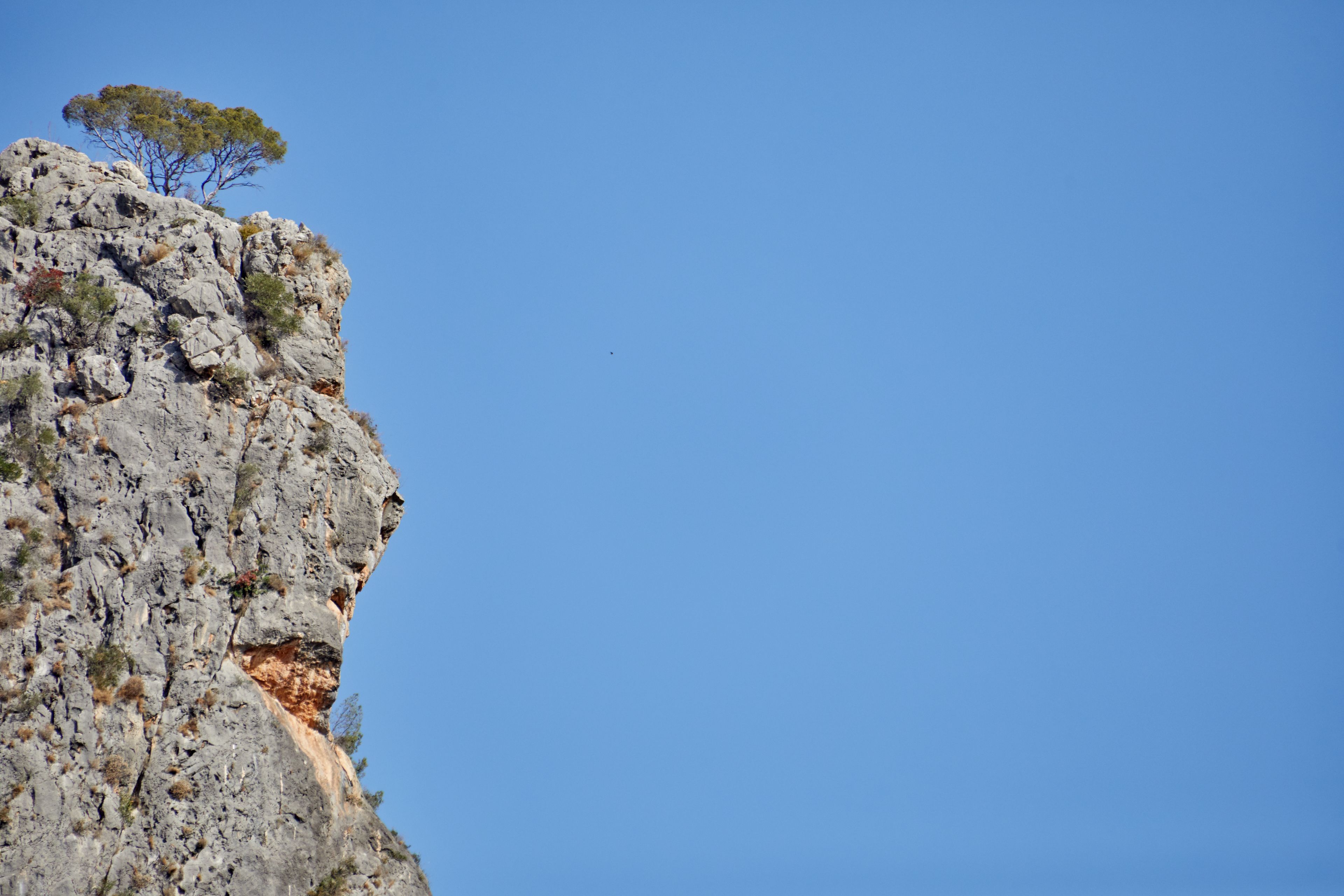 A rocky cliff with sparse vegetation and a clear blue sky.