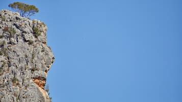 A rocky cliff with sparse vegetation and a clear blue sky.