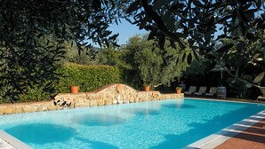 Una piscina con pared de piedra y plantas en macetas, rodeada de vegetación y un cielo despejado.