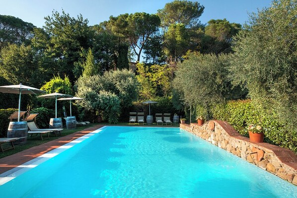 A swimming pool with lounge chairs and umbrellas, surrounded by greenery and trees. - Locanda del Molino (Cortona)
